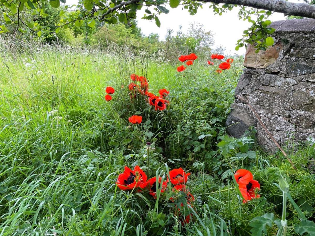 Deveron Valley Cottages Marnoch Kültér fotó